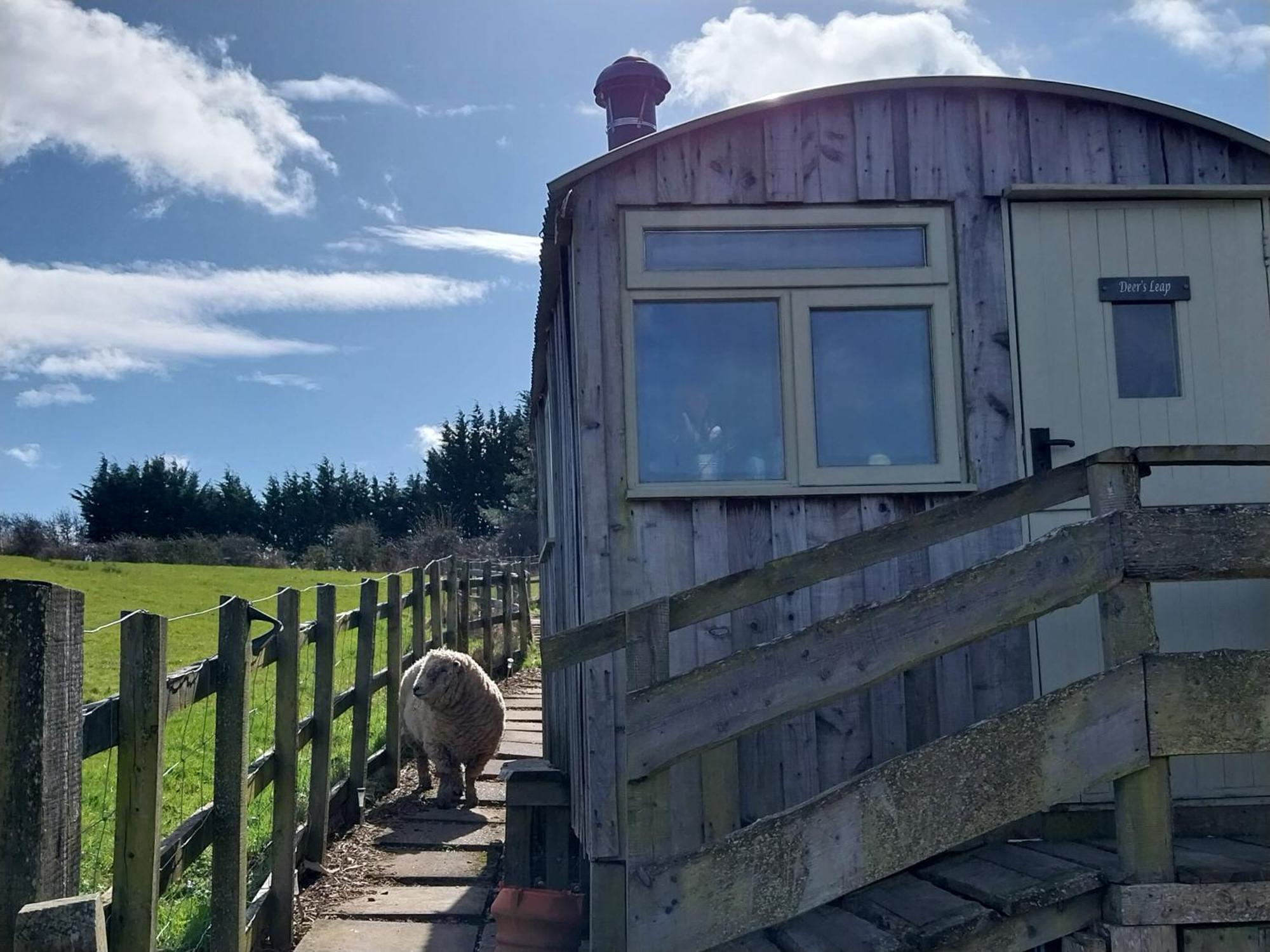 Fylingdales Meadowbeck - Shepherd Huts מראה חיצוני תמונה
