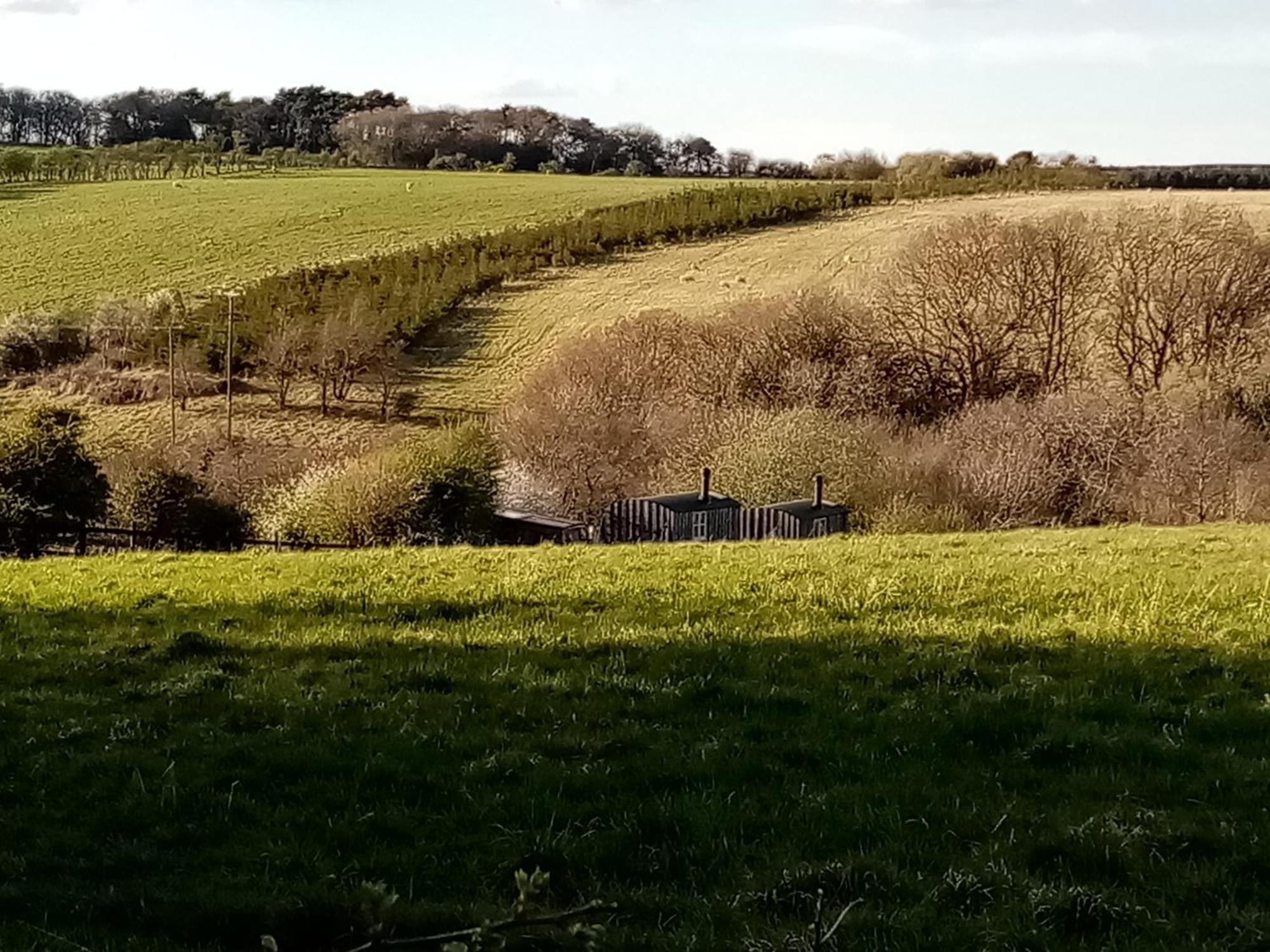 Fylingdales Meadowbeck - Shepherd Huts מראה חיצוני תמונה