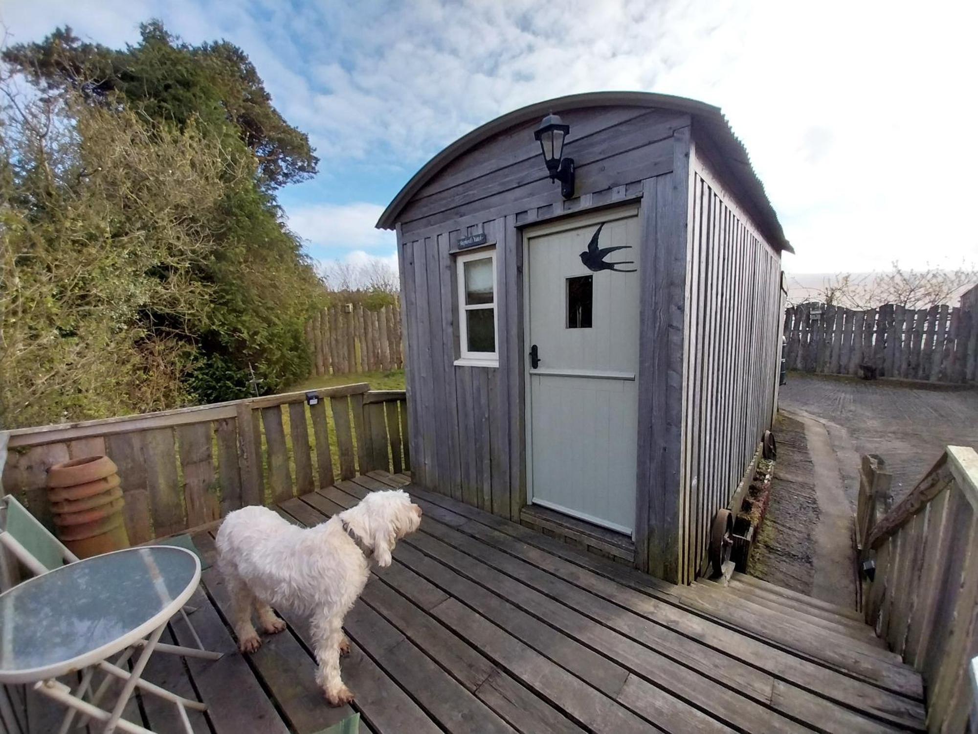 Fylingdales Meadowbeck - Shepherd Huts מראה חיצוני תמונה